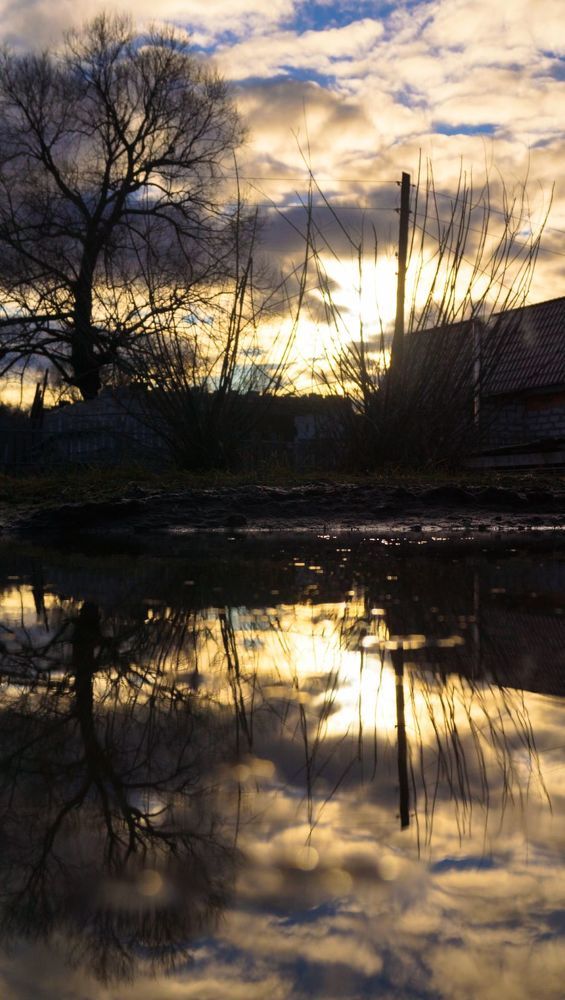 Photograph by Веденин Егор