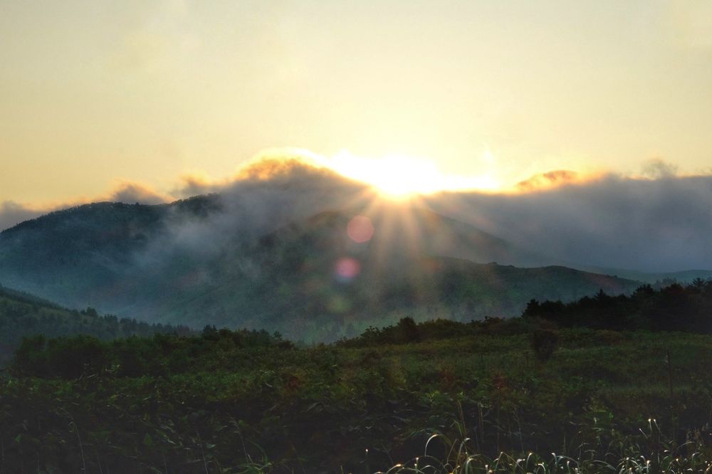 Photograph by Яна