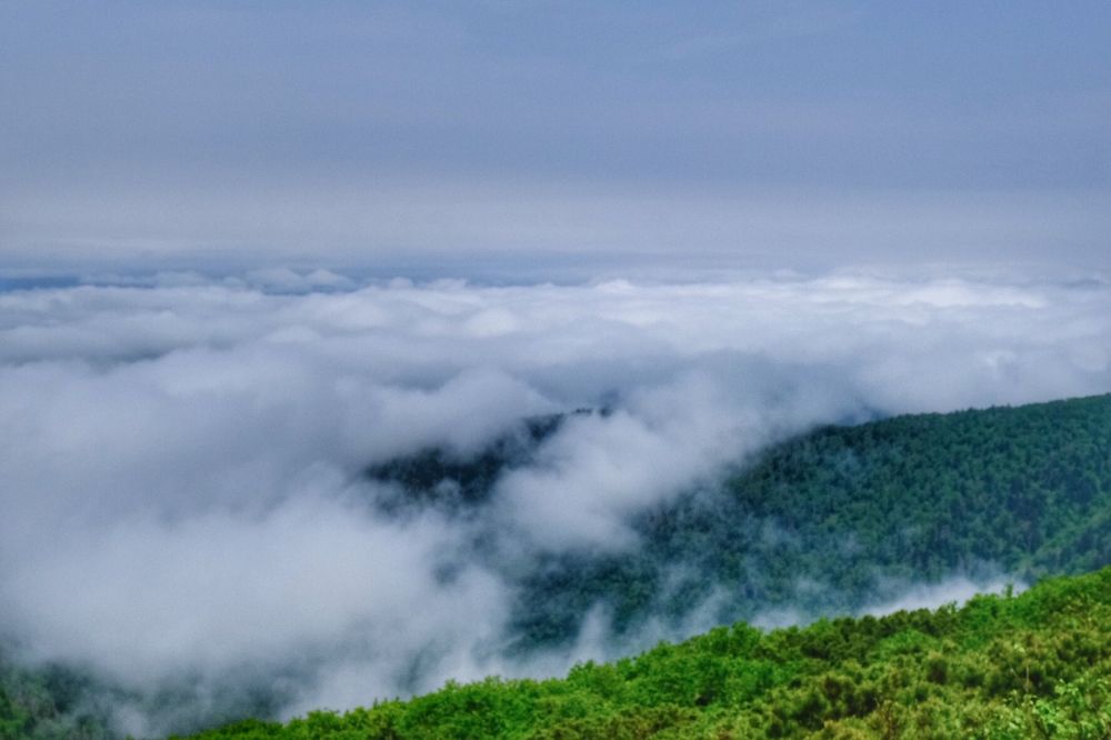 Photograph by Яна