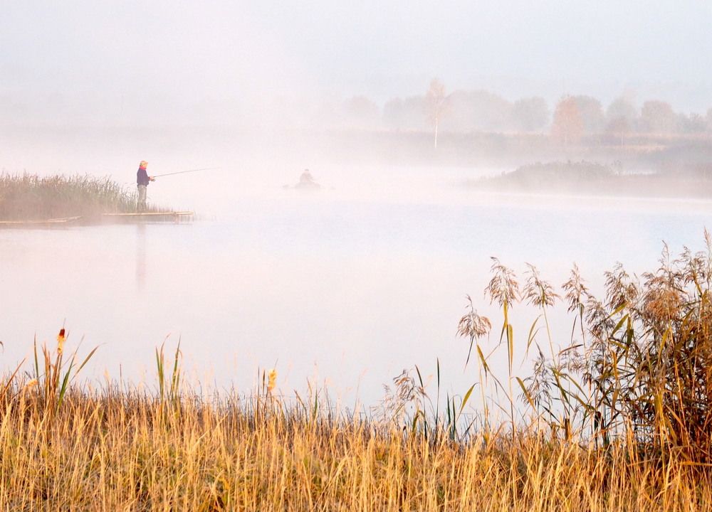 Photograph by Екатерина Шмелева
