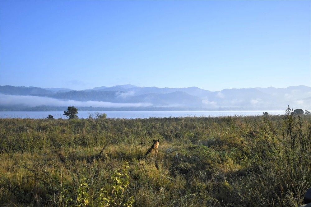 Photograph by Preet saluja