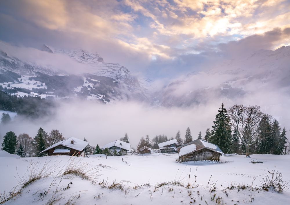 Фотография автора Maciej Karpinski