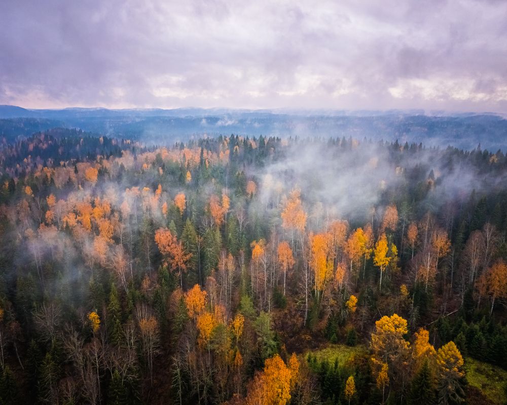 Photograph by Иван Кудряшов