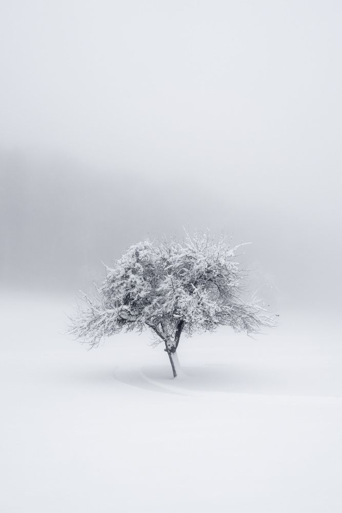 Фотография автора Maciej Karpinski