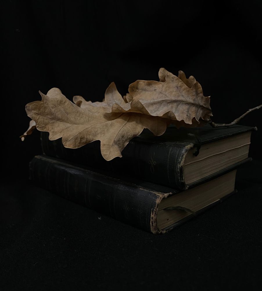 Photograph by Виктория Лаур