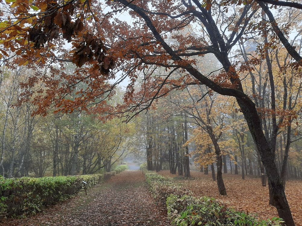 Photograph by Оля