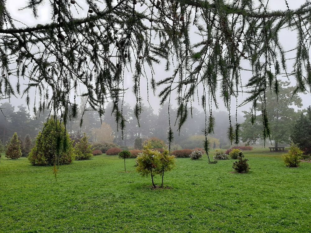 Photograph by Оля