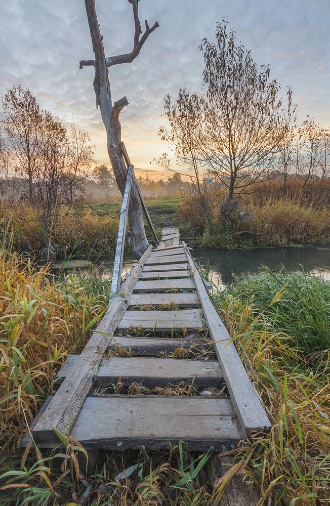 Photograph by Николай Андреев