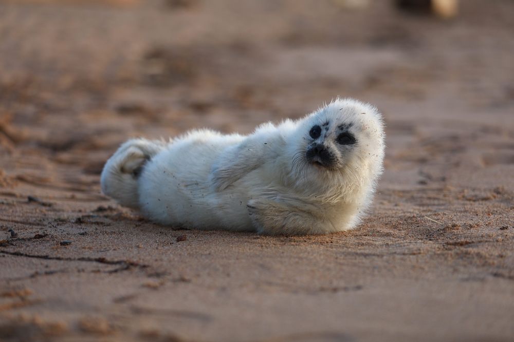 Photograph by Мария Kокоревич