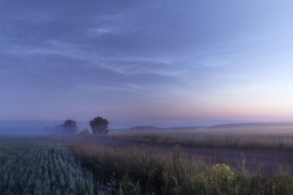 Поднимались туманные дали...