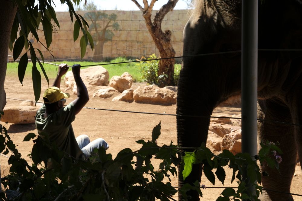 Photograph by Татьяна Зоренко