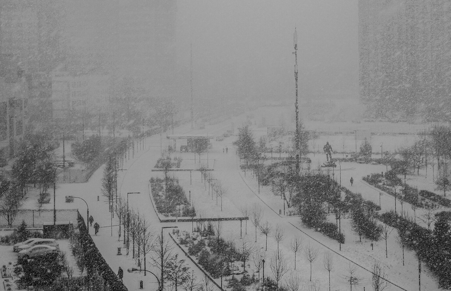 Photo #6838402
