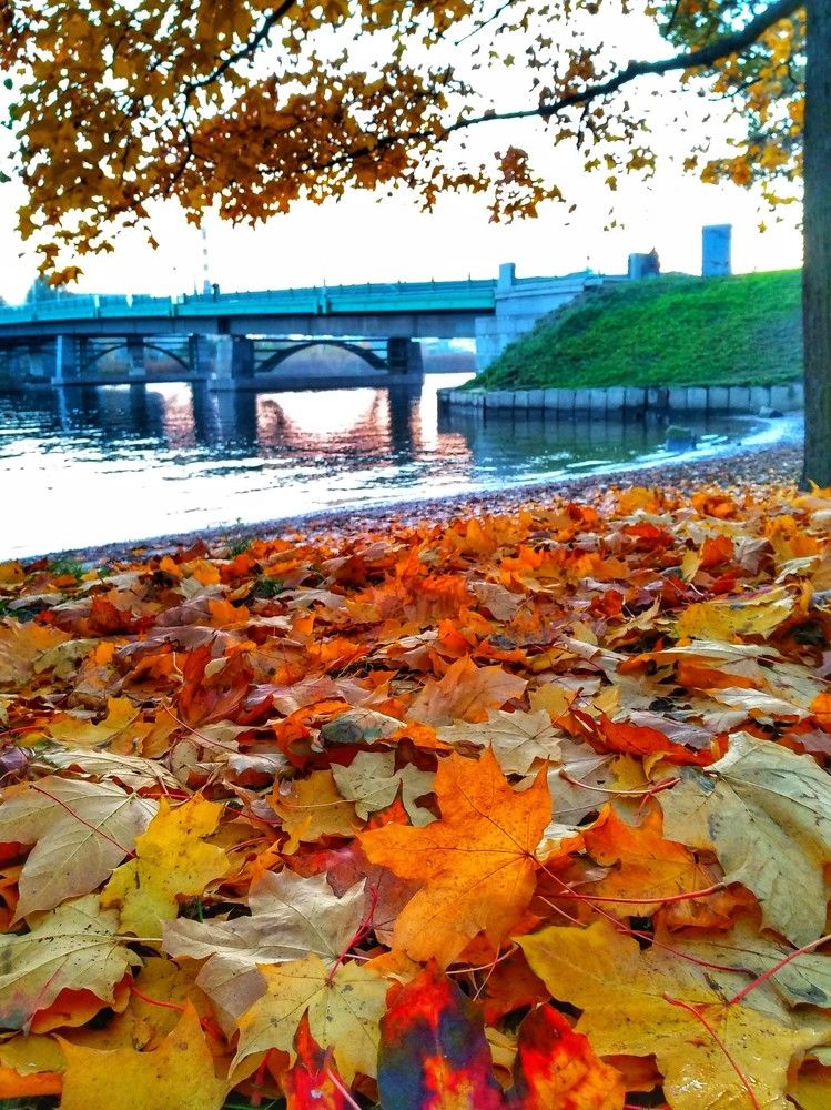 Фотография автора Марина Алексеевская