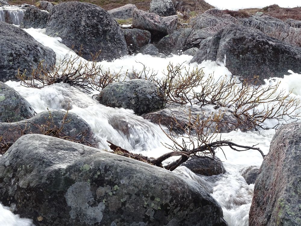 Photograph by Александр