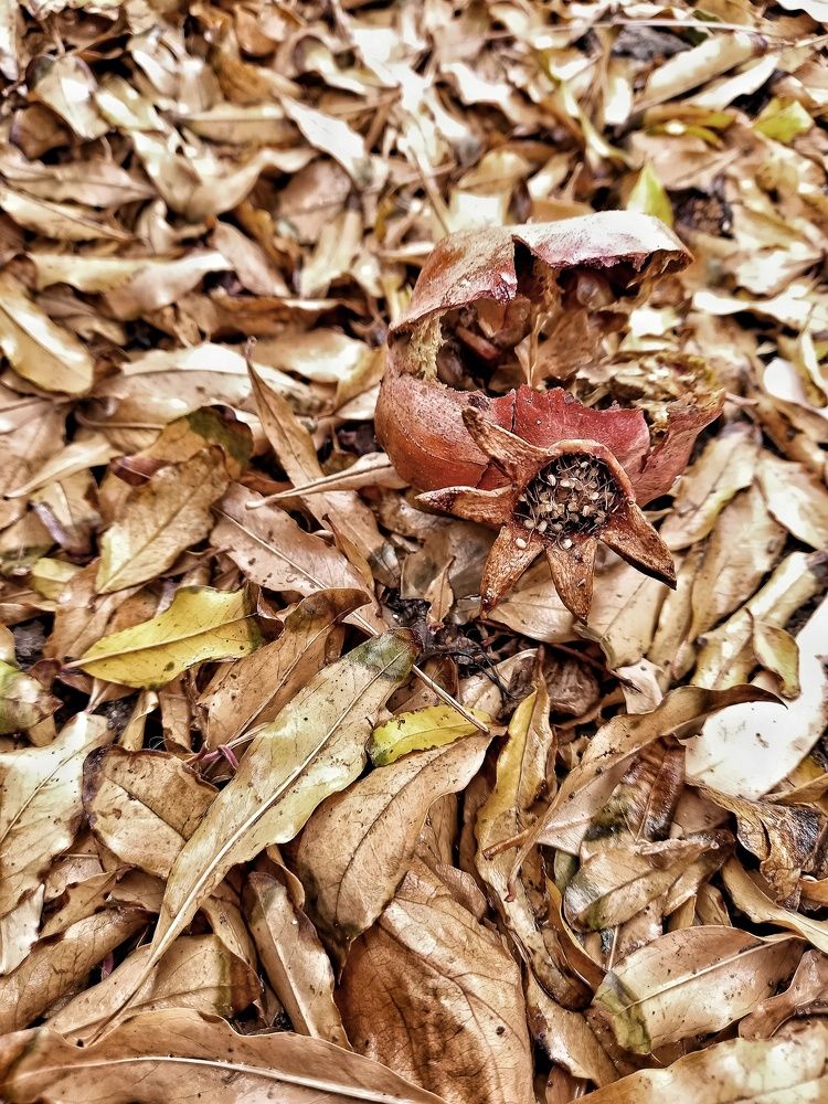 Photograph by Haniye mangeli