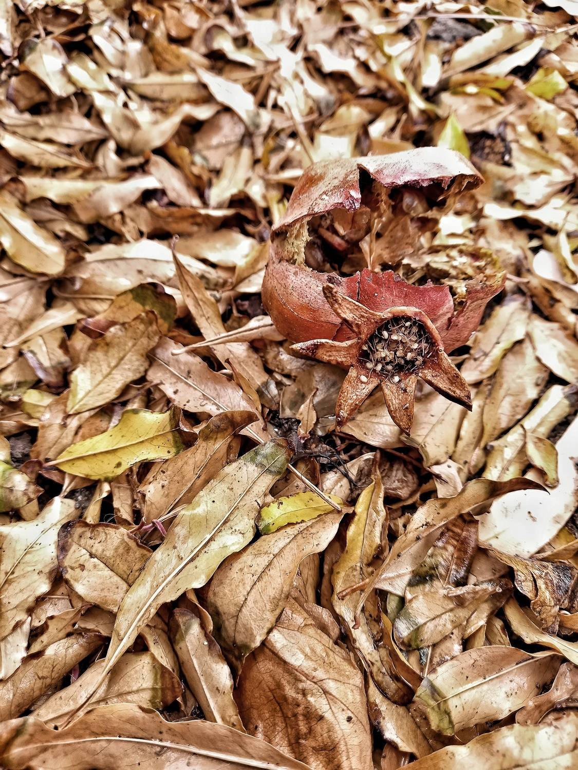 Photo #6838443