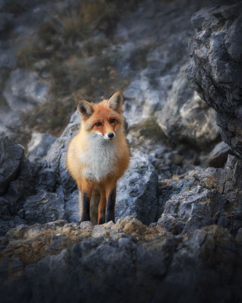 Photograph by Алексей Агеев