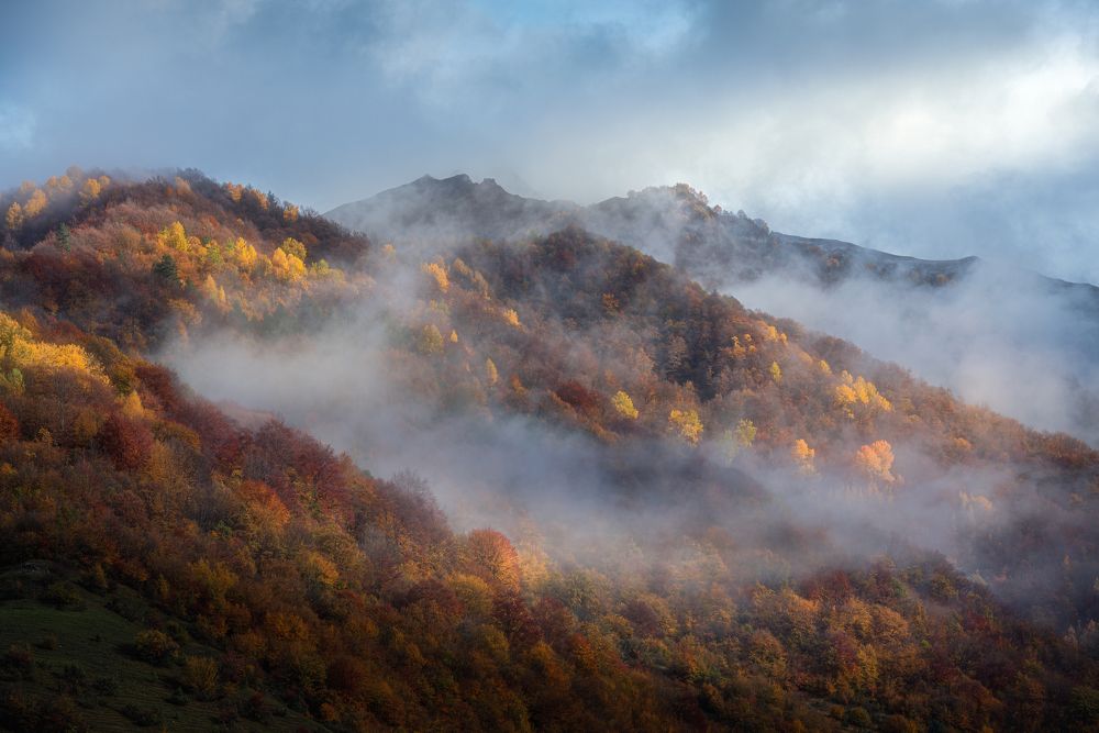 Photograph by Helen Vasilieva