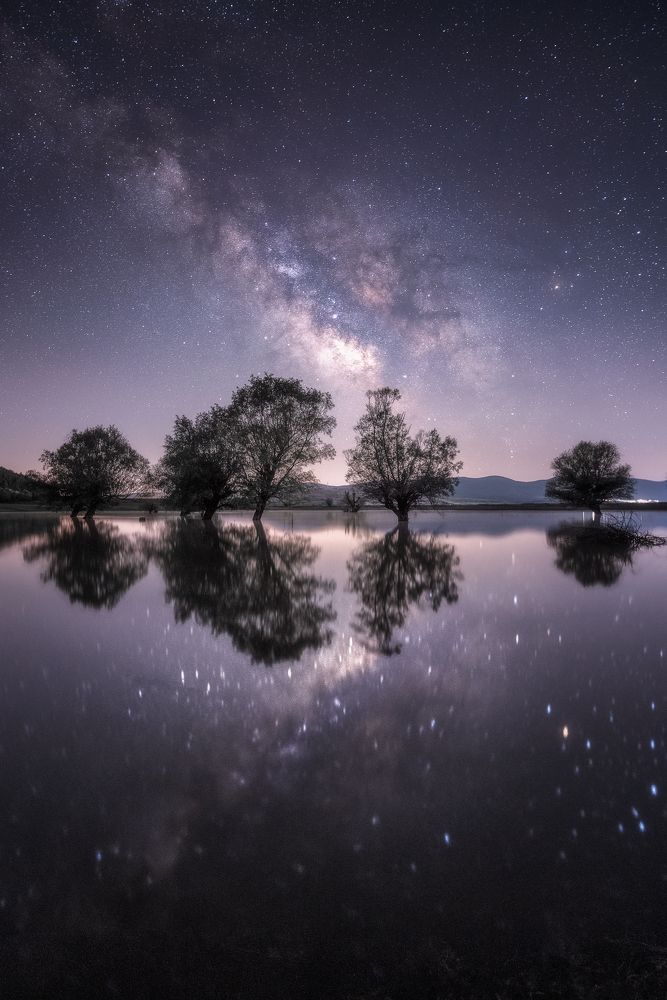 Photograph by Михаил Минков