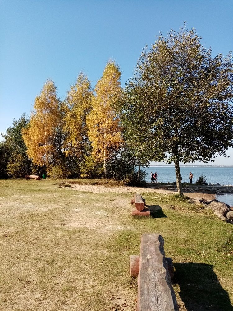 Photo #6838512