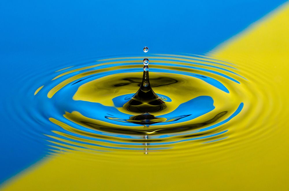 Photograph by Sahar Jafari