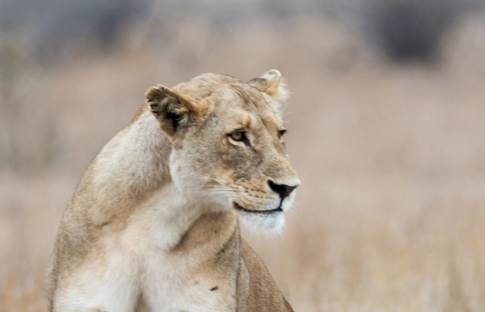 Photograph by Malinda Badenhorst