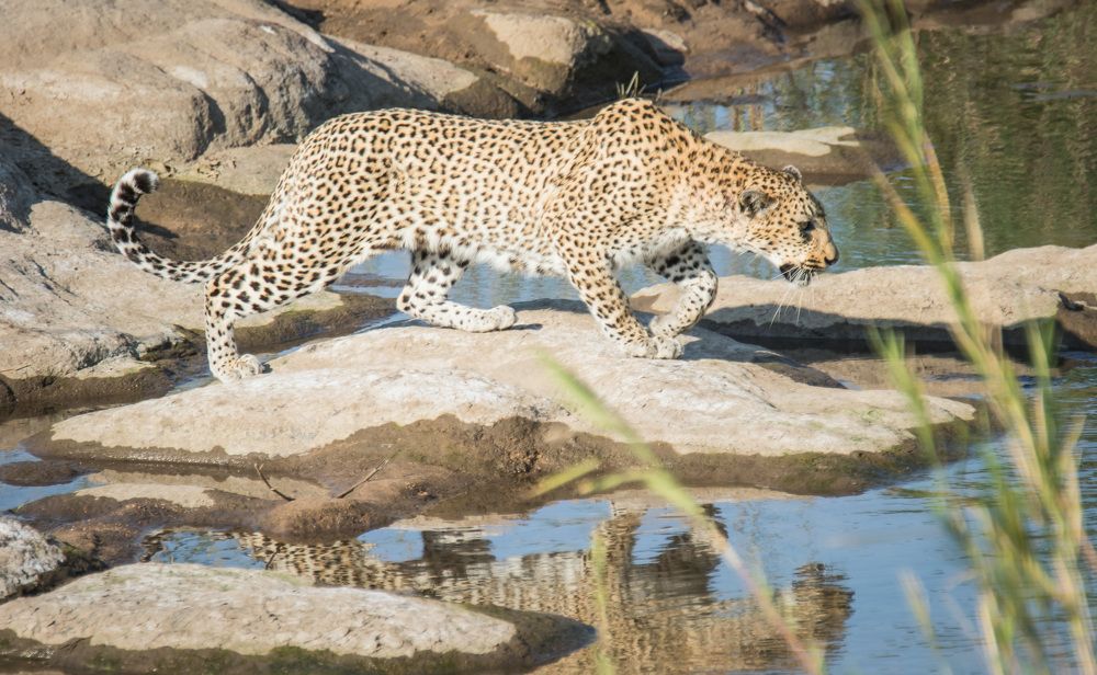 Photograph by Malinda Badenhorst