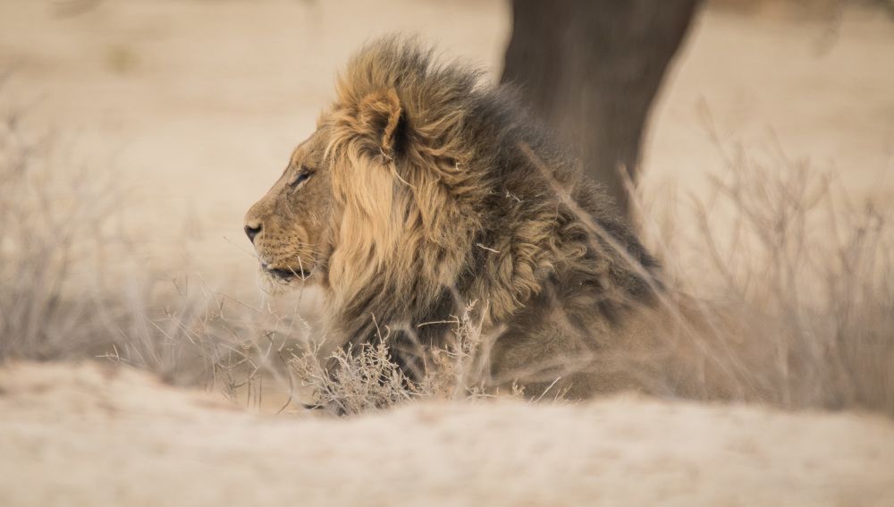 Photograph by Malinda Badenhorst