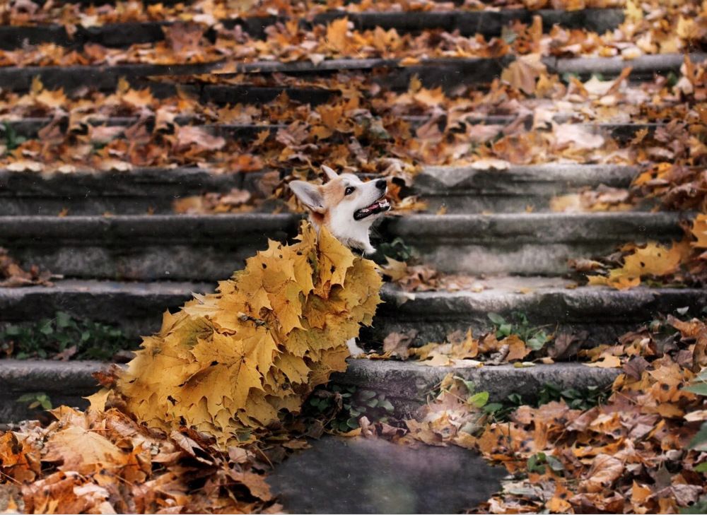 Photograph by Лилия