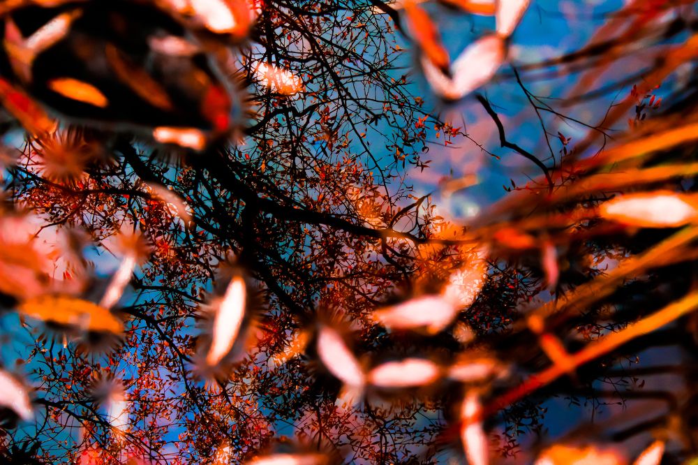 Photograph by Анна Рогачева