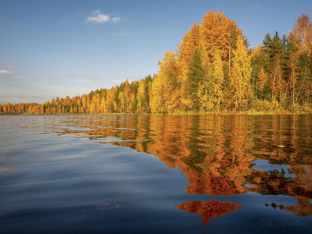 Золотые отражения...