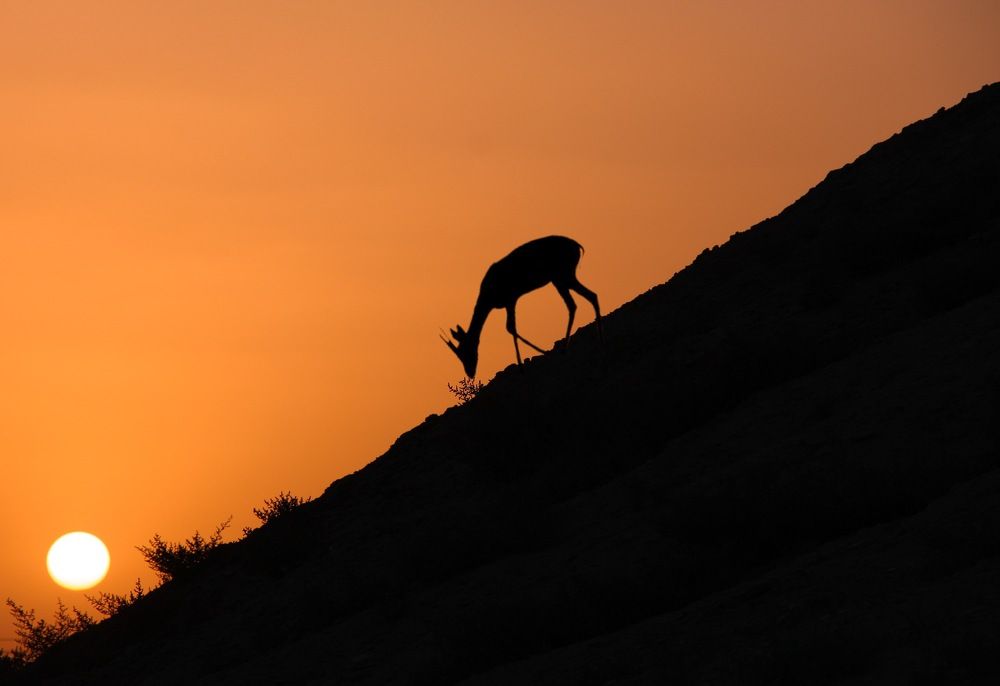 Photograph by Sahar Rahmani