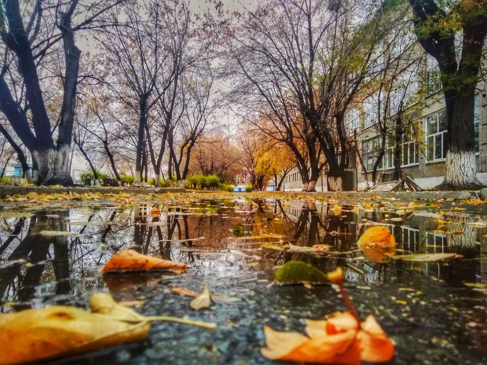 Photograph by Сергей Хранитель