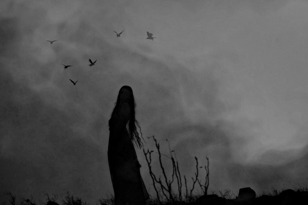 Photograph by Sahar Rahmani