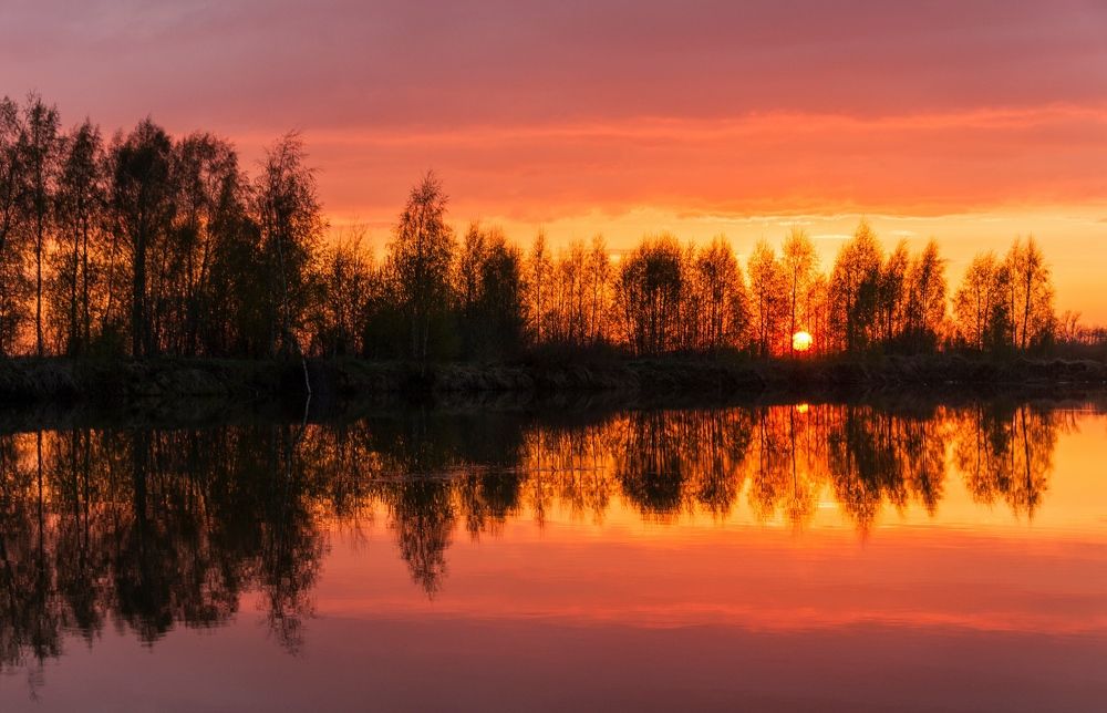 Photograph by Андрей Папанов