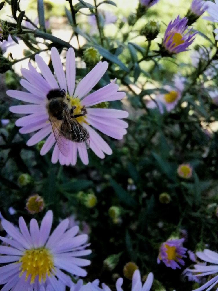 Photograph by Vesna Petkoska