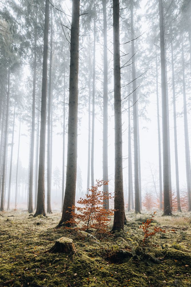 Фотография автора Kristijan Males