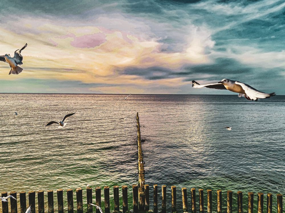 Photograph by Ilia Nikolenko