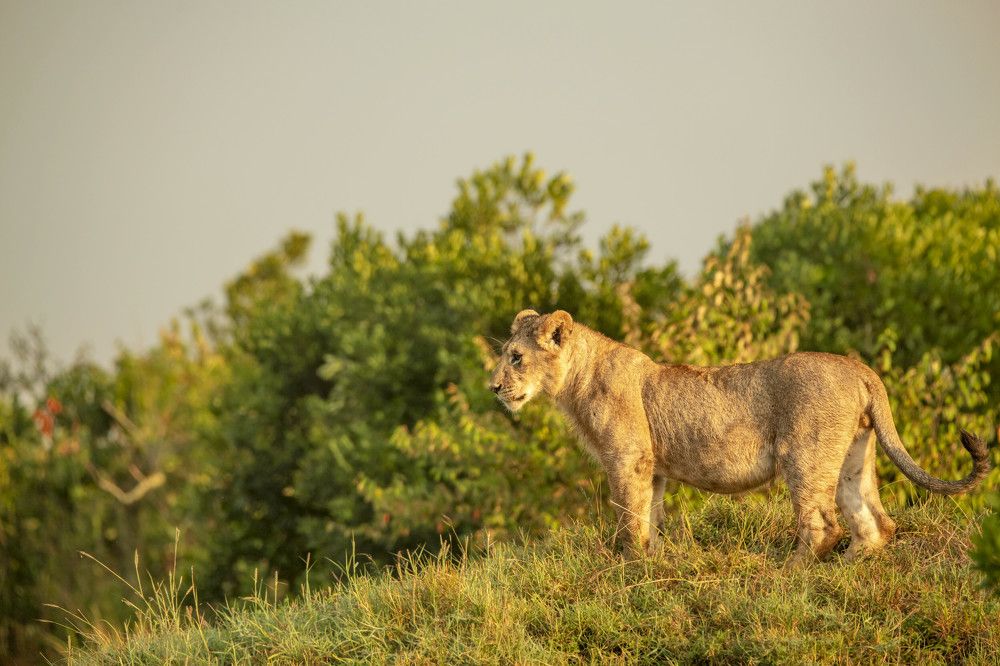 Photograph by Renny Poulose