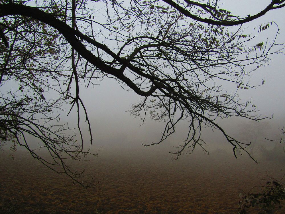 Photograph by Darko Milojevic