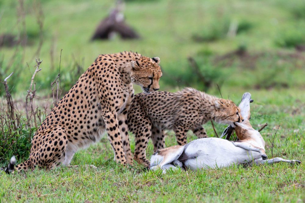 Photograph by Renny Poulose