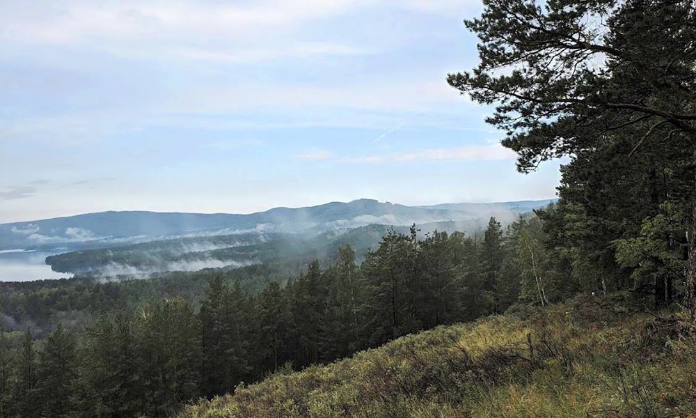 Утренний таман