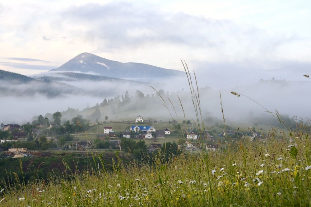 Photograph by Ольга