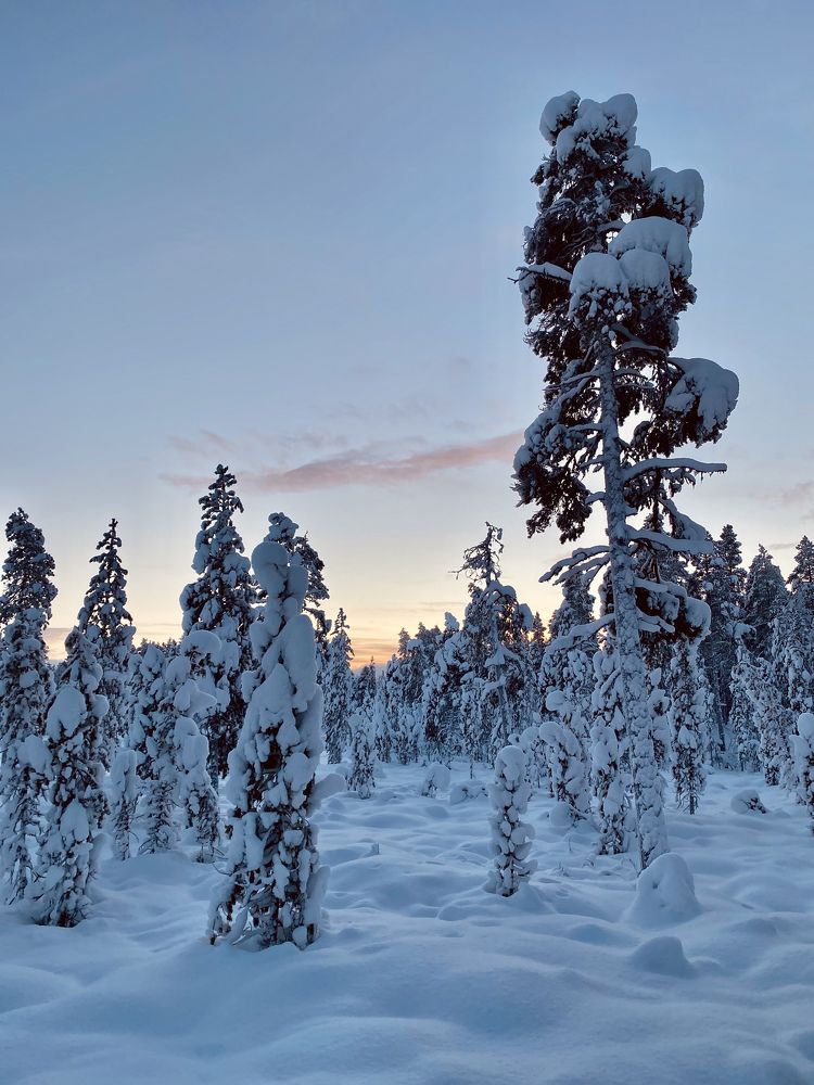 Photograph by Алексей Солдатов