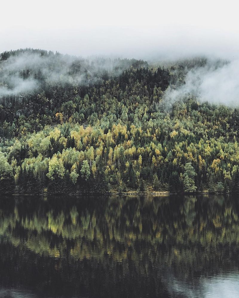 Photograph by Kirill