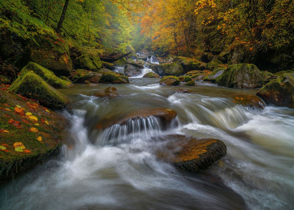 Photograph by Stan Cosmin