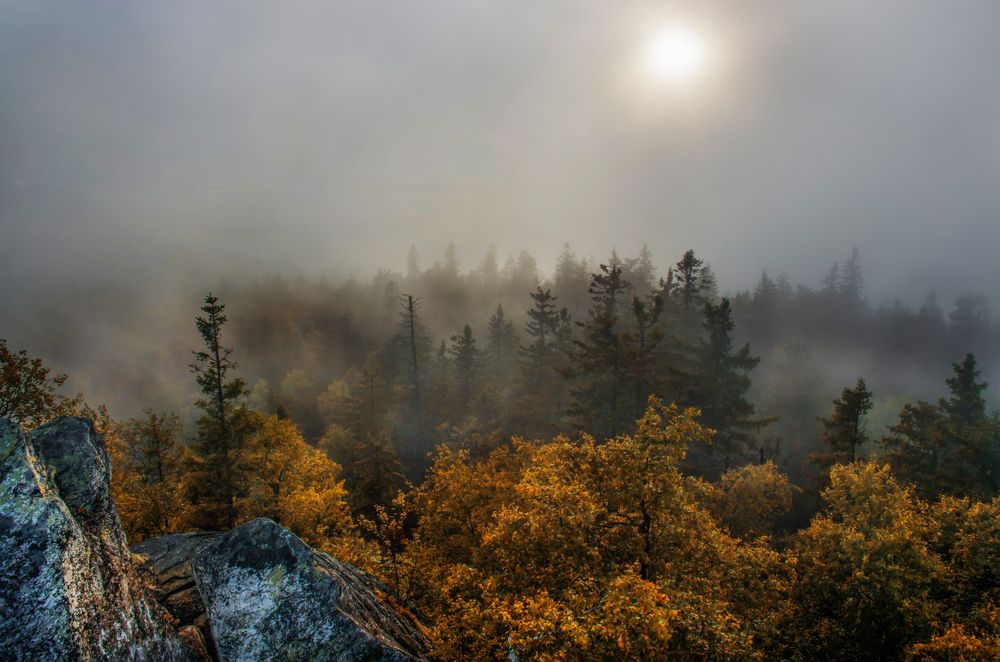 Photograph by Pavel SidorOFF