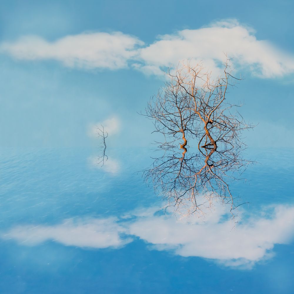 Фотография автора Ирина Яздан Мехр