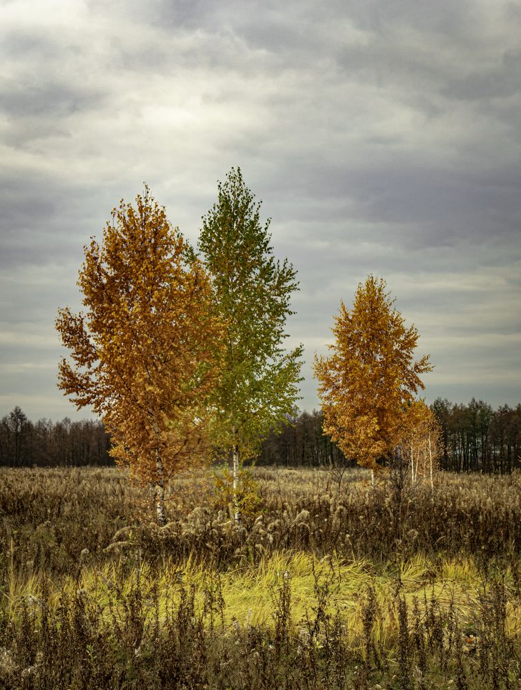 Photograph by Ринат Файзуллин