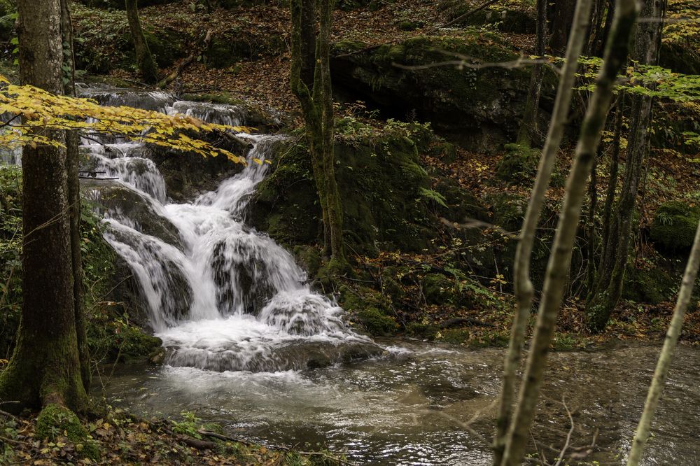 Photograph by Uroš Novina